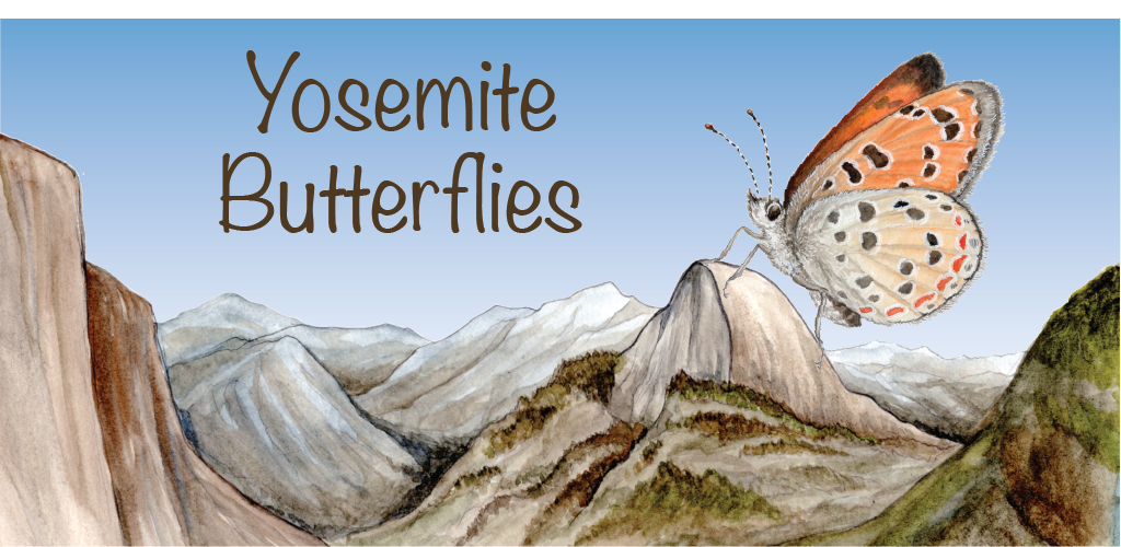 Yosemite Butterflies App Banner